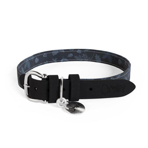 Fall dog collar top