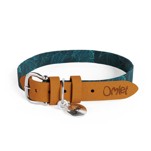 Bark collar large breed online