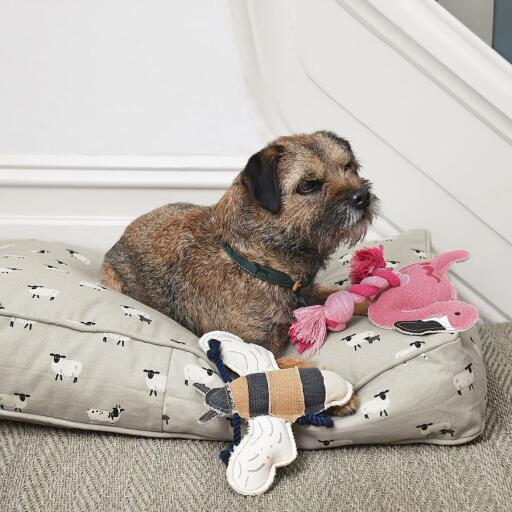 A wonderflul Sophie Allport Dog Toy