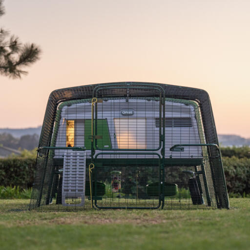 eglu pro chicken coop with run at sunset with a coop light on