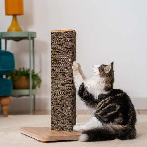 Burlap cat scratching post online