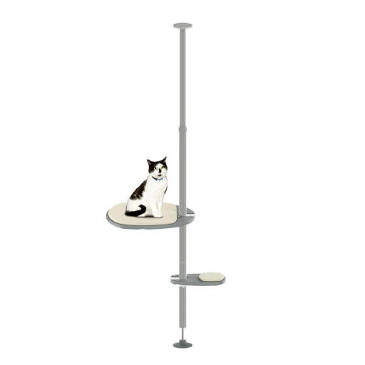 The Everyday Kit outdoor freestyle cat pole system set up