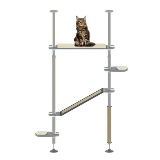 The Sunbather Kit outdoor freestyle cat pole system set up