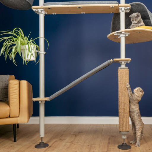 Freestyle Indoor Cat Tree