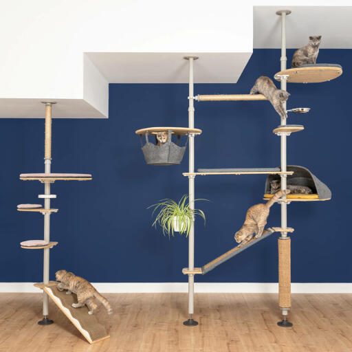 Indoor deals cat furniture