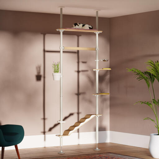 Freestyle floor to ceiling indoor cat tree - The Artist Kit.