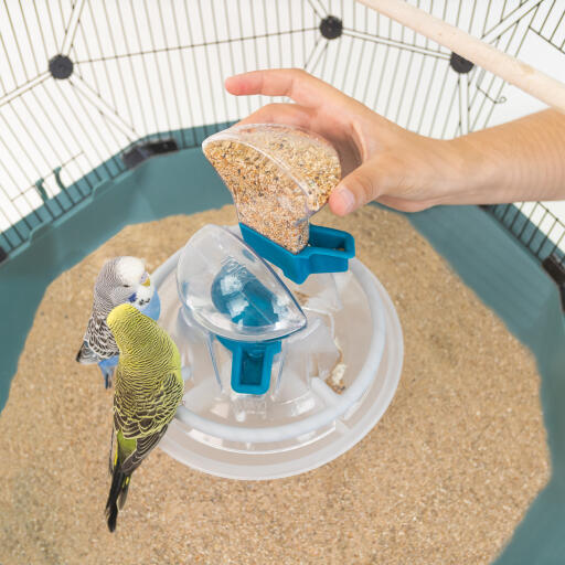Budgie discount cage feeders
