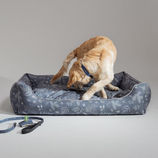 Golden Retriever turning in an Omlet Nest Bed in the Forest Fall pattern