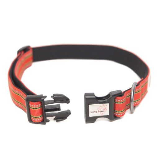 Long Paws Padded Comfort Dog Collar Orange