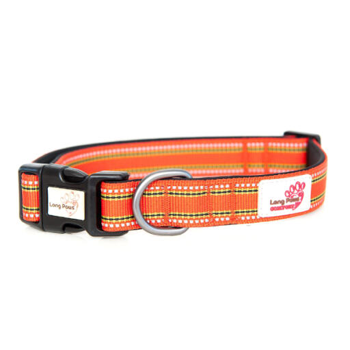 Long Paws Comfort Padded Dog Collar Orange