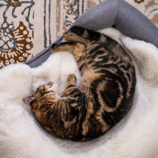 Luxury faux sheepskin cat blanket