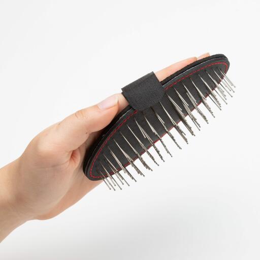 mikki palm dog brush