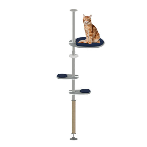 The Lookout Kit outdoor freestyle cat pole system set up