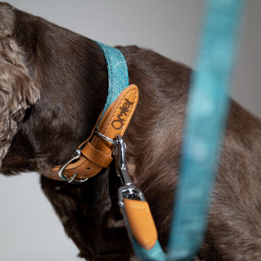 A close up of the collar and lead in the Nature Trail print