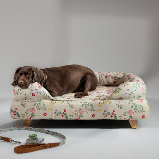 A Cocker Spaniel resting on top of the memory foam bolster bed morning meadow