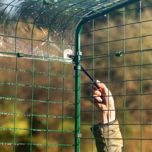 A hand attaching the cover to the walk in run with bungee hooks