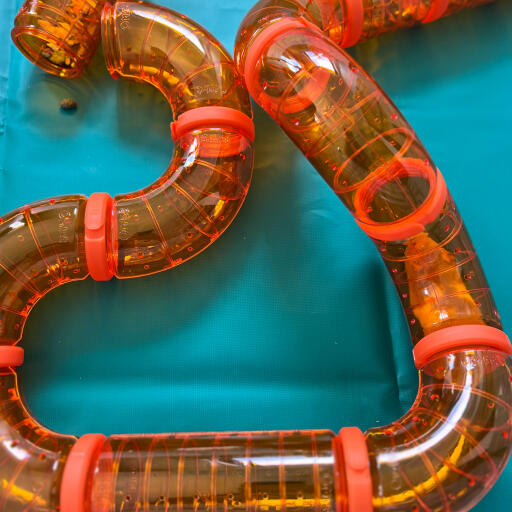 Omlet customisable hamster tunnels are the perfect toy for a playpen