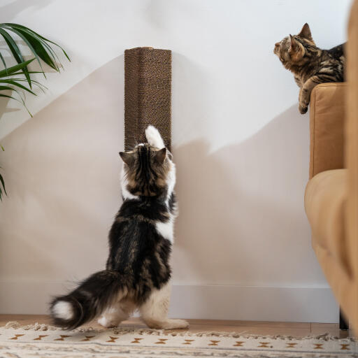 Stak Cardboard Cat Scratcher Wall Mounted Omlet