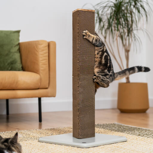 cat playing with a tall cardboard scratching post