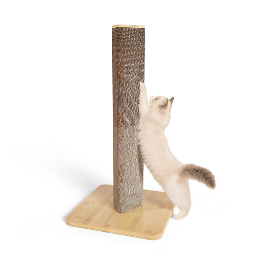 Refillable Cardboard Cat Scratching Post - Tall (Bamboo) | Omlet
