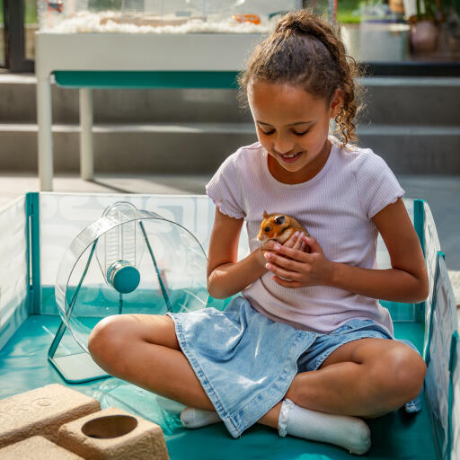 A girl playing with her hamster in the playpen with various accessories