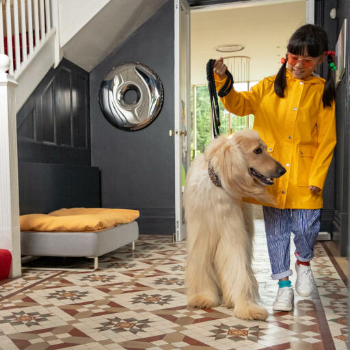 Girl taking dog for walk with Omlet Topology Dog Bed with Beanbag Topper and White Rail Feet in the background