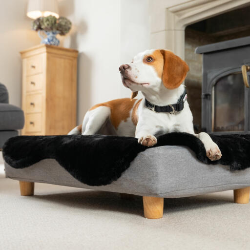 Jet Black Faux Sheepskin Topper and Round Wooden feet for Topology Dog Bed