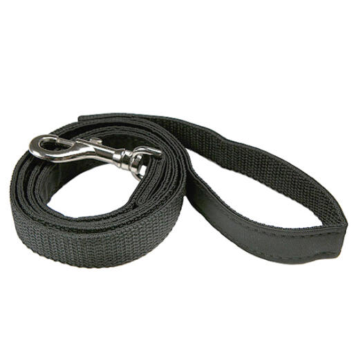Black dog leash on sale