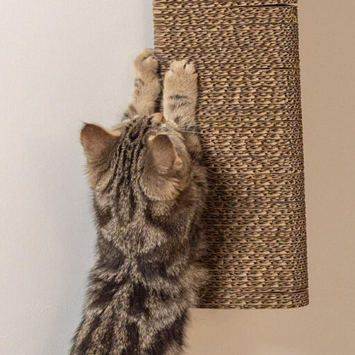 Stak Cardboard Cat Scratcher Wall Mounted Omlet
