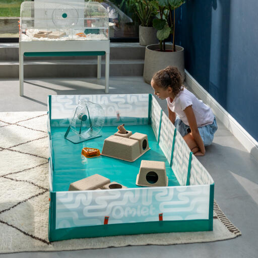 A child looking at a hamster playing in the playpen