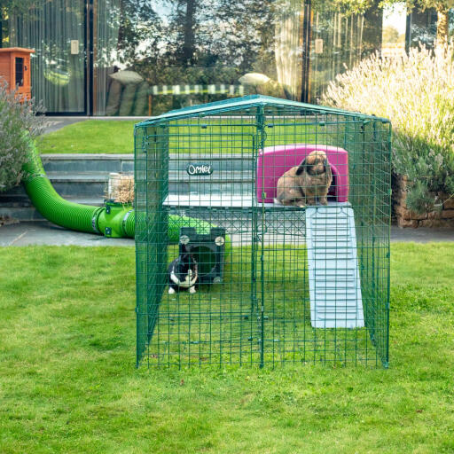 Omlet Zippi Rabbit Playpen with Zippi Platforms, Purple Zippi Shelter, Zippi Tunnel and Rabbits