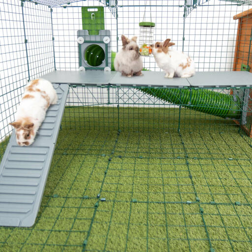 Omlet Zippi Rabbit Playpen with Zippi Platforms, Caddi Treat Holder, Zippi Tunnel Connected and Three Rabbits