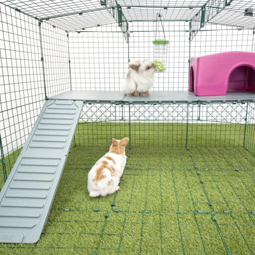 Diy hot sale bunny ramp