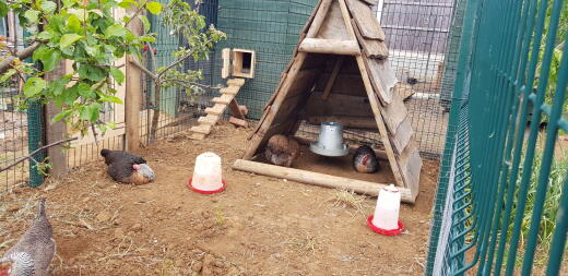 Wooden Chicken Coop inside of Omlet Walk in Chicken Run