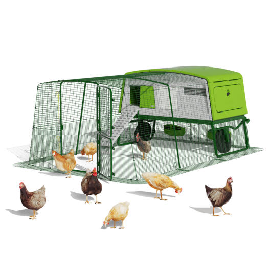 Eglu Pro chicken coop designed by Omlet for up to 15 chickens