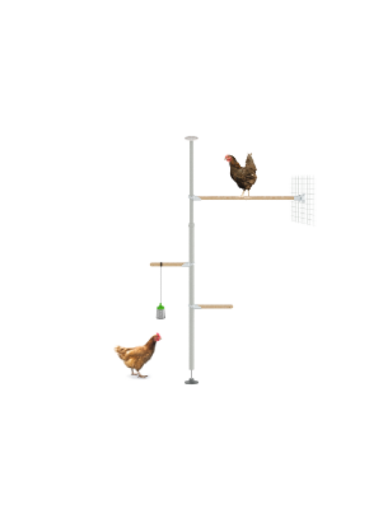 PoleTree Chicken Perch - The Eggcercise Kit - 1.70 - 2.15m