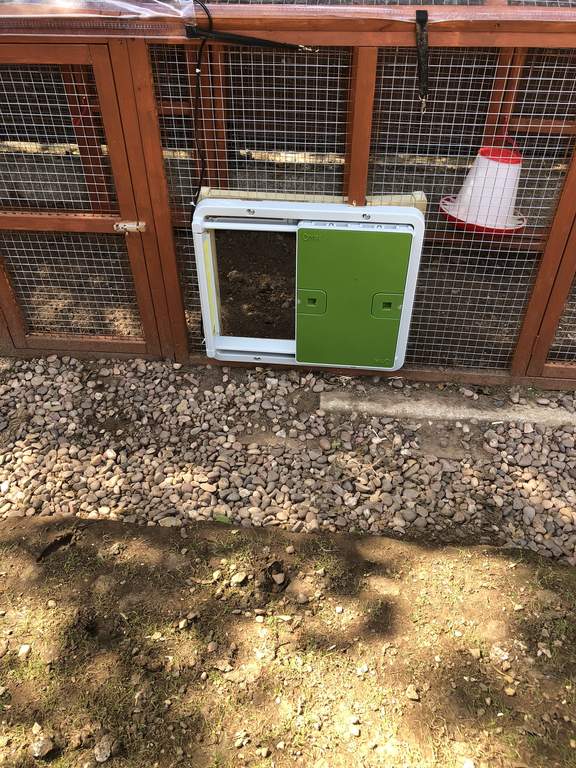 Automatic Chicken Coop Door Green Christmas Gift Accessories for
