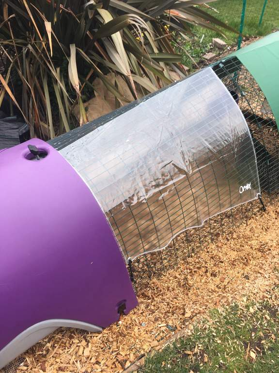 Clear Cover for Eglu Go 1m Eglu Guinea Pig Weather Protection