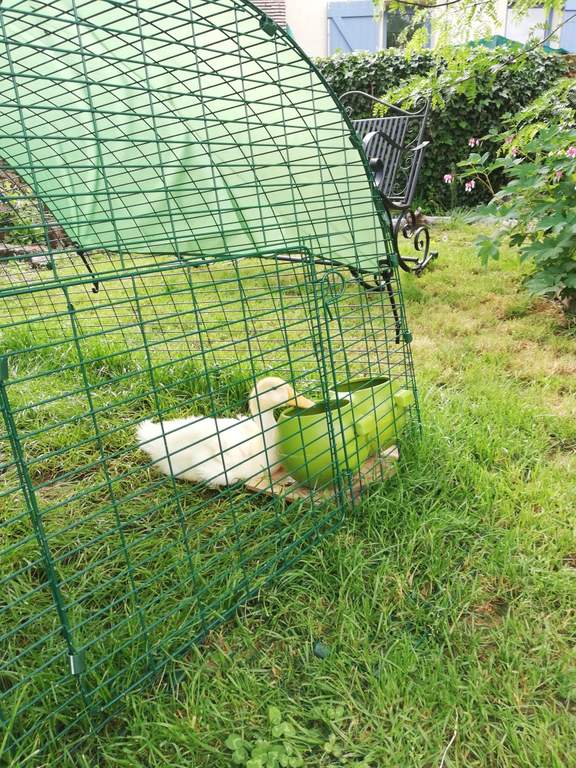 Eglu Classic Duck House with 2m Run Green Ducks Chicken Coops