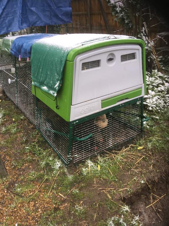 Extreme Temperature Blanket for Chicken Coop Eglu Go Up Green