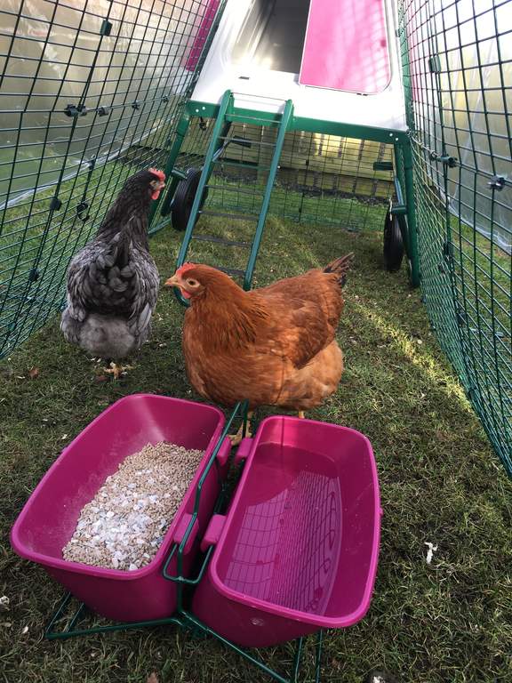 Feeder Drinker Stand Eglu Go Feeders Drinkers For Chickens