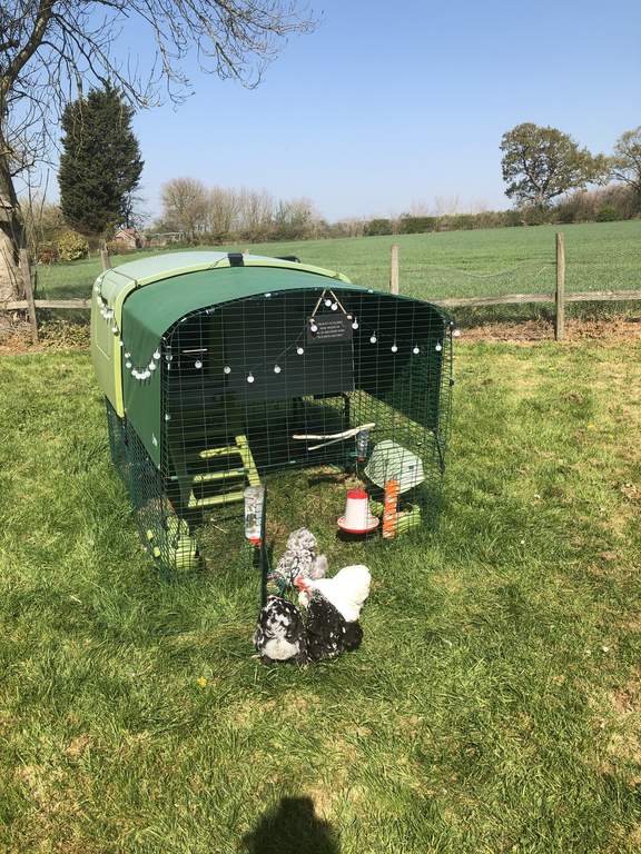 Heavy Duty Cover for Eglu Cube Mk1 1m Eglu Coop Weather Protection