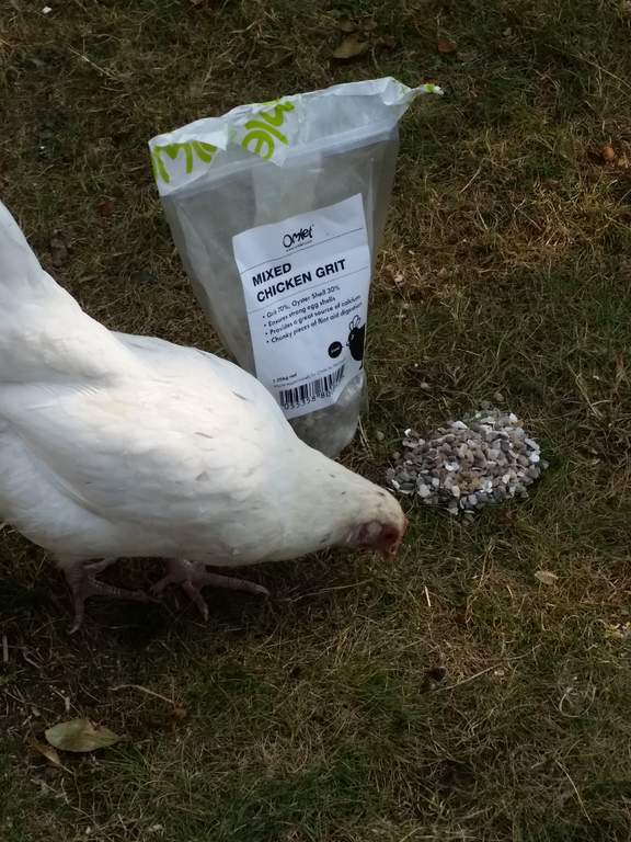 Chicken coops like omlet Human-Powered Henhouse Keeps Chickens On The Job