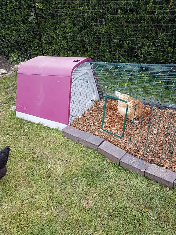 Run Door Self Fit Kit Eglu Spares Accessories Chicken Coops