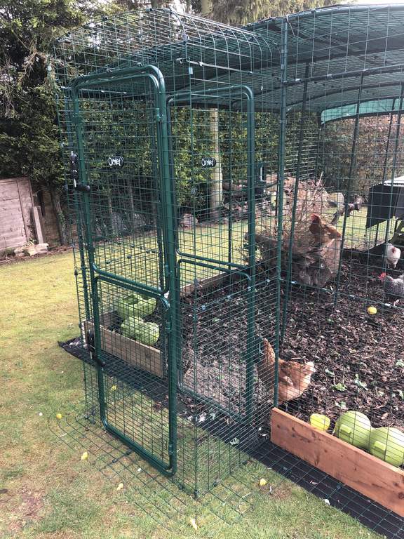 Walk In Chicken Run Porch