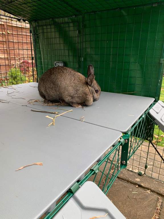 Zippi Rabbit Platforms 4 panels 2 ramps Rabbit Run Accessories