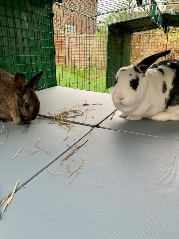 Zippi Rabbit Platforms 4 panels 2 ramps Rabbit Run Accessories