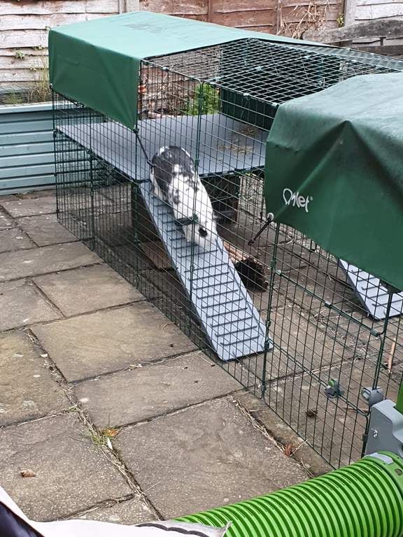 Zippi Rabbit Platforms 4 panels 2 ramps Rabbit Run Accessories Rabbit Hutches, Rabbit