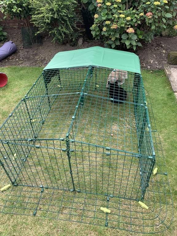 Zippi Rabbit Run with Roof and Skirt Single Height Zippi Rabbit Run