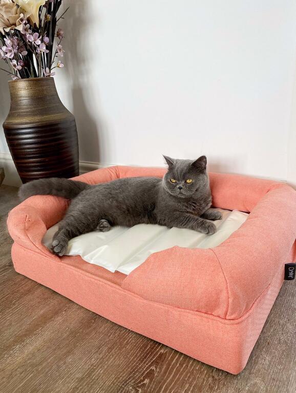 Cooling Pad For Cats Photos All
